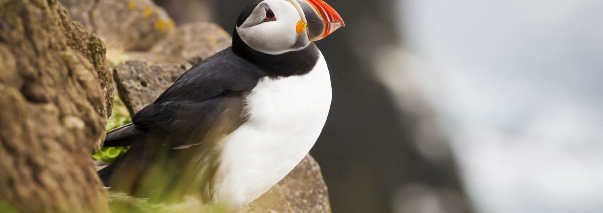 L’essentiel de l’Islande