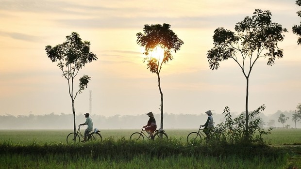 Promenade à vélo dans un champ en Indonésie