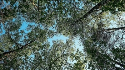 Vous carapater en août ? Suivez le guide !