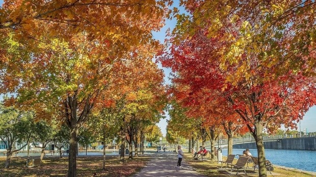 Voyage automne - Montréal - Québec