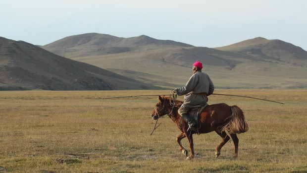Guide Voyage Mongolie - Cowboy