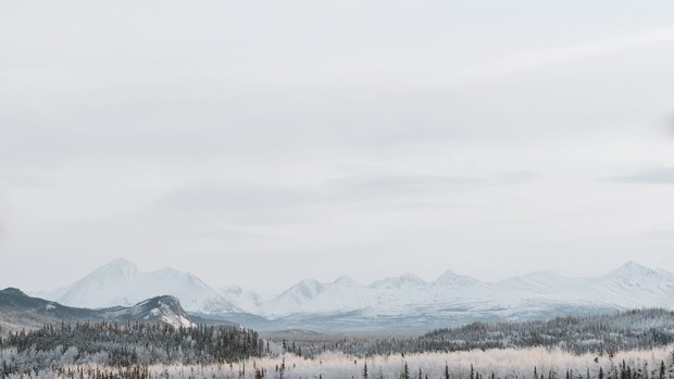 Guide voyage USA - parcs - Denali