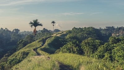 Découverte de Java, Bali et Lombok