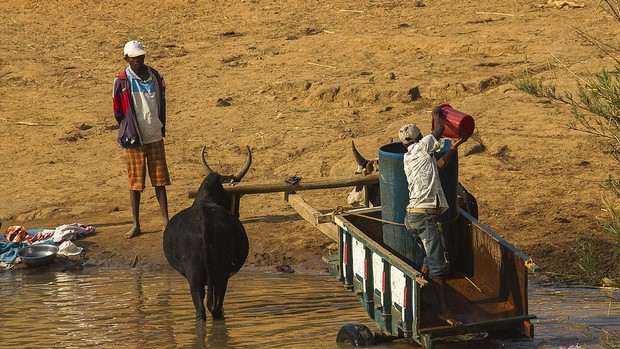 Voyager local -manger local - Madagascar