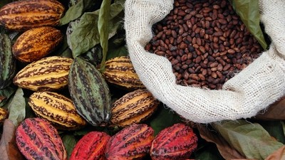 L’Equateur entre amis, chocolat et café