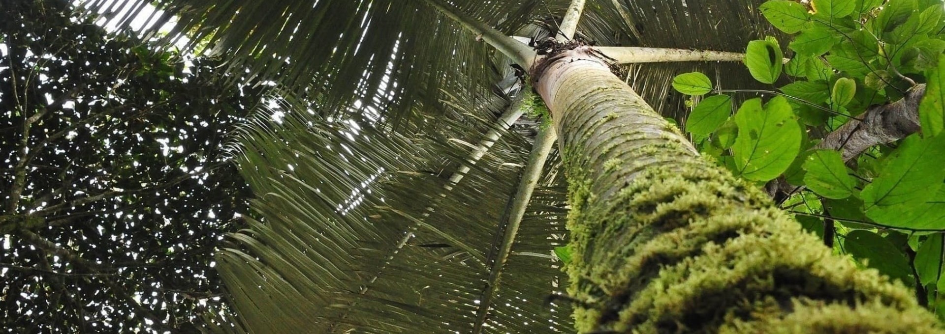 Circuit Combiné Colombie et Equateur