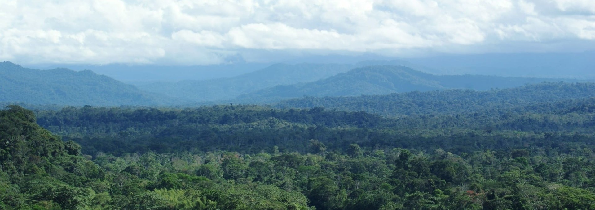 Au fil de l’Amazonie, à bord de l’Anakonda