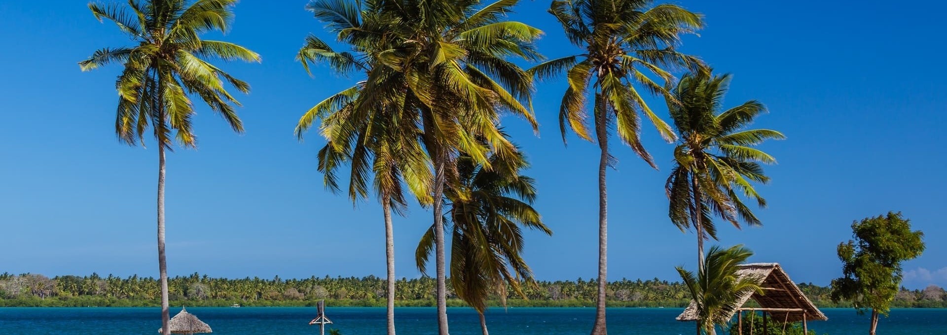 Plongée sur l’île de Mafia