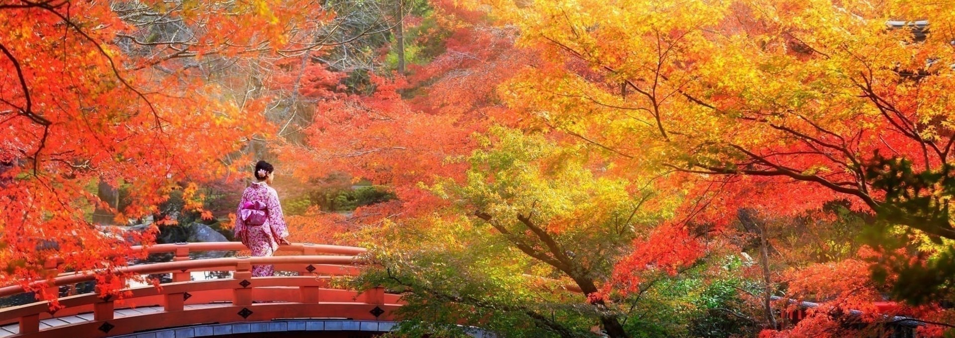 Le Japon aux couleurs de l’automne