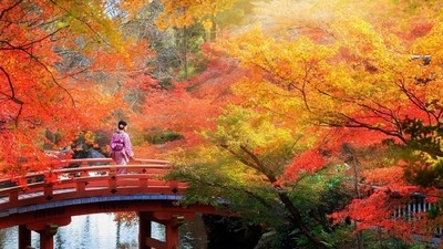 Le Japon aux couleurs de l’automne