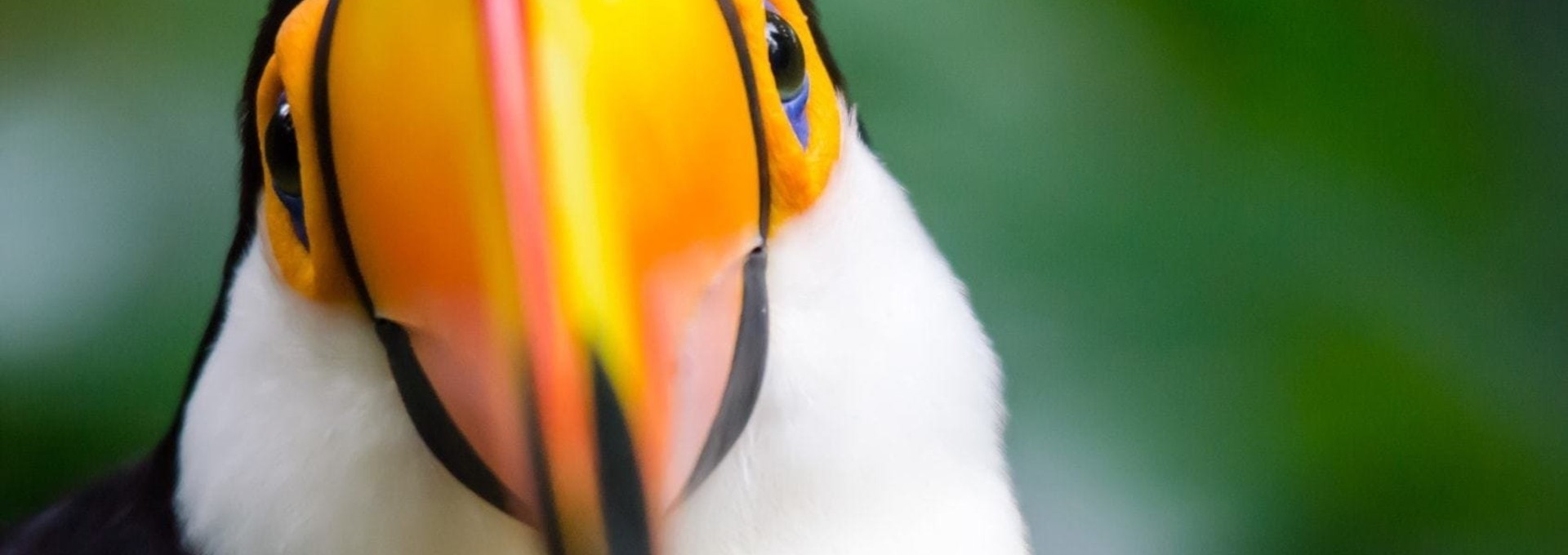 Le Brésil en 3 étapes