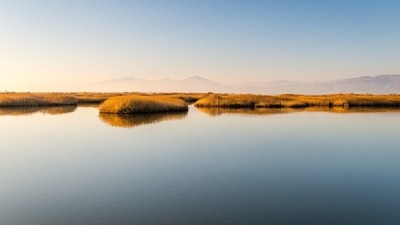 Frémissement de l’automne
