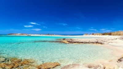 Frénésie de l’été