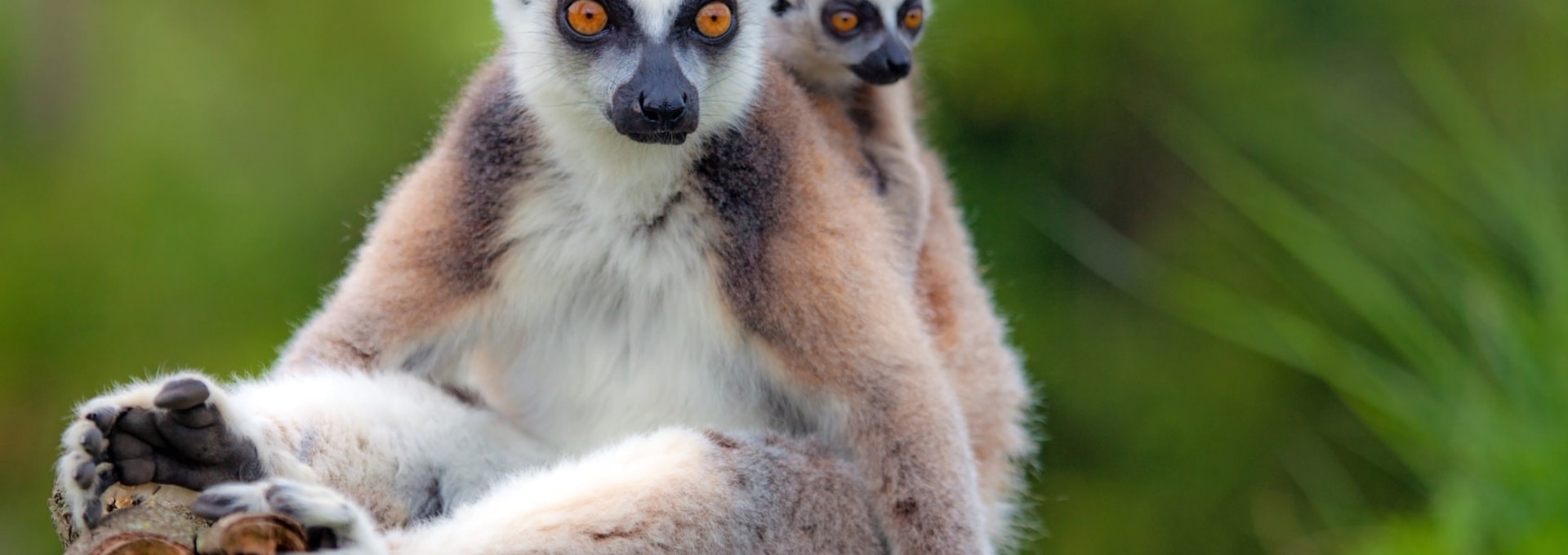 Circuit côtier dans l’Est de Madagascar