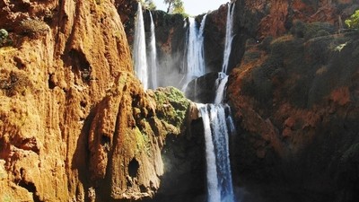 Frémissement de l’automne