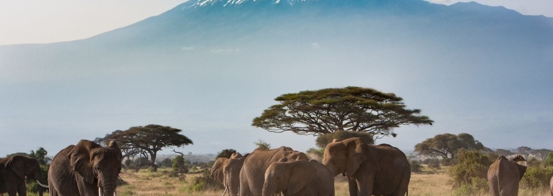 Séjour culture et détente à Zanzibar