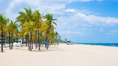 Frénésie de l’été