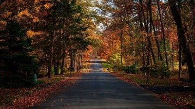 Hors des sentiers battus