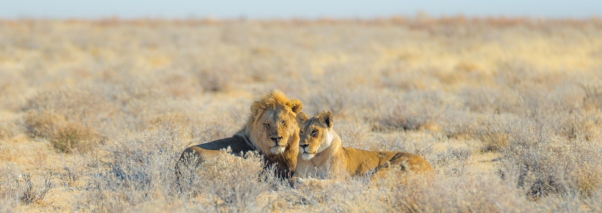 Échappée Romantique en Namibie