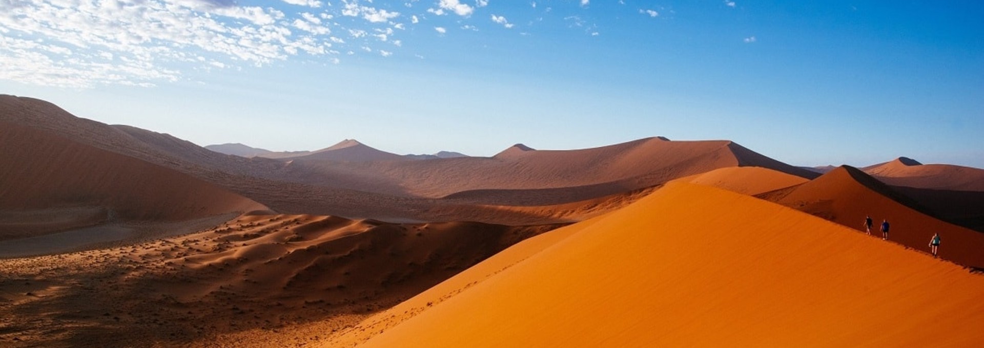 Safari & Camping en Terres Australes