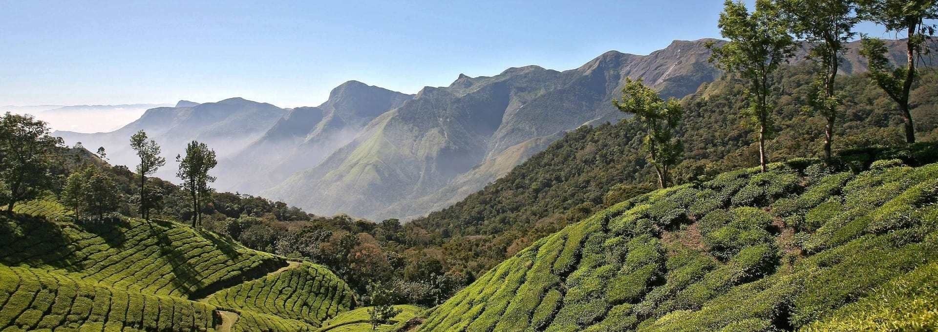 L’Inde du Sud en 4 étoiles