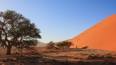 Désert du Kalahari & Canyon de Fish River