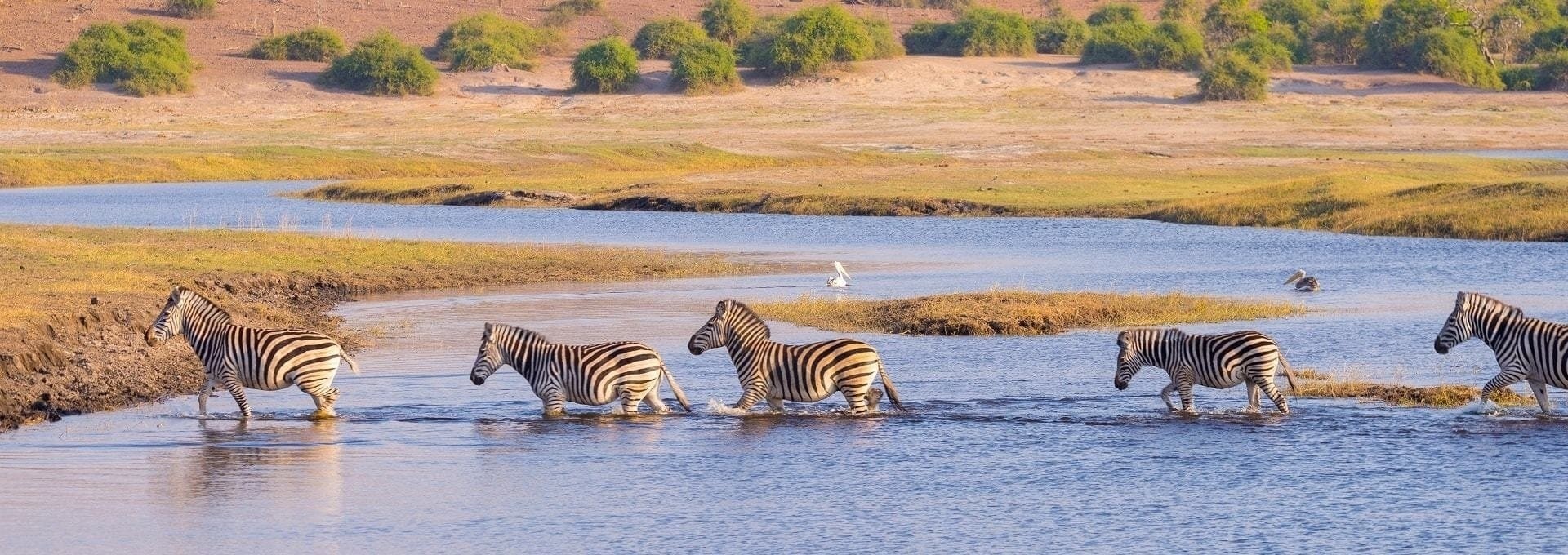 Extension Botswana, safari dans le Delta de l’Okavango