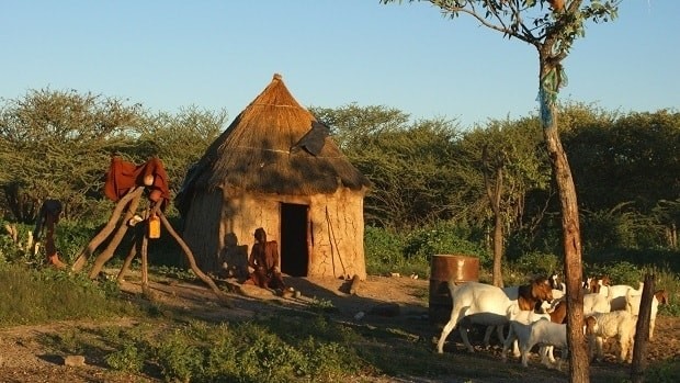 top 5 incontournables de la Namibie Kaokoland