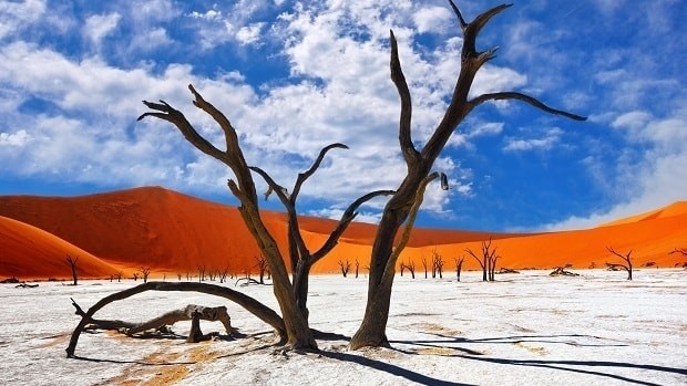 top 5 incontournables de la Namibie Sossusvlei