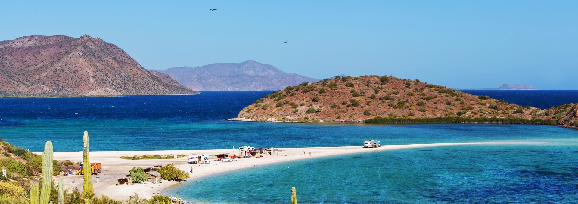 Déserts, plages et oasis : Basse Californie, joyau naturel du Mexique