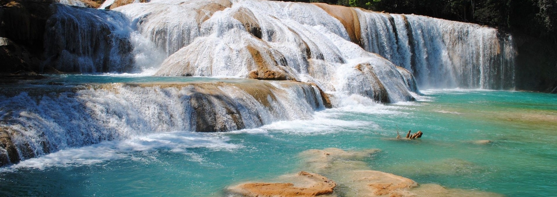 Ecotourisme & biodiversité, voyage guidé dans le Chiapas