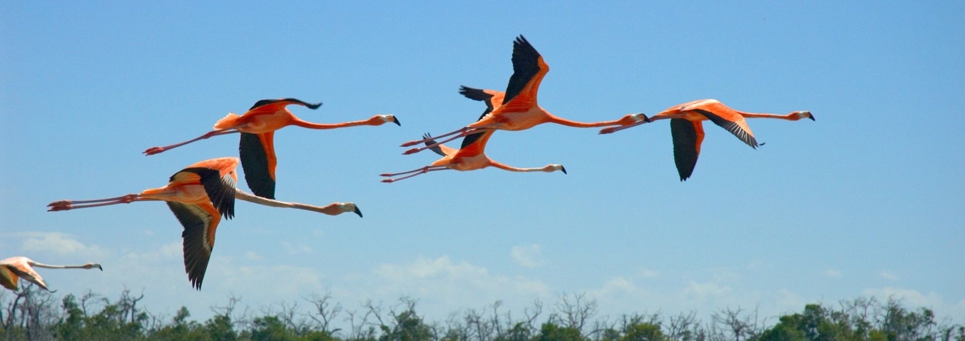 Lune de miel : à la découverte des perles du Yucatan