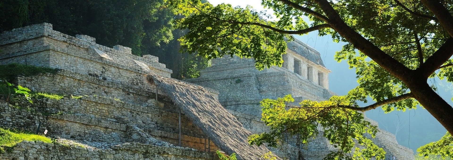 Visiter le Chiapas et Mexico : entre nature sauvage et culture