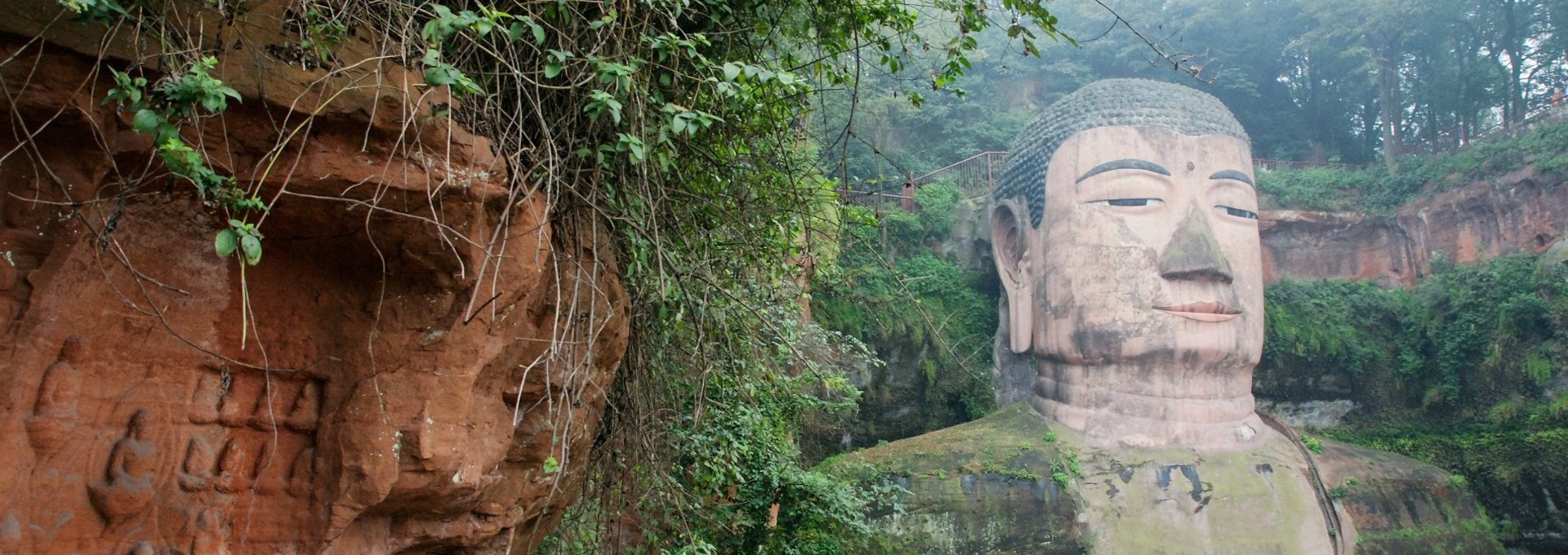 Les Pandas de Chengdu