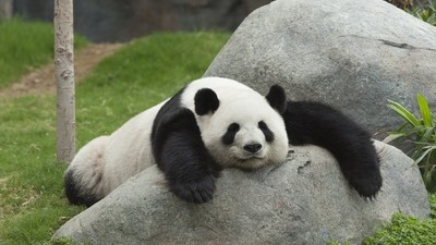 Périple chinois en famille