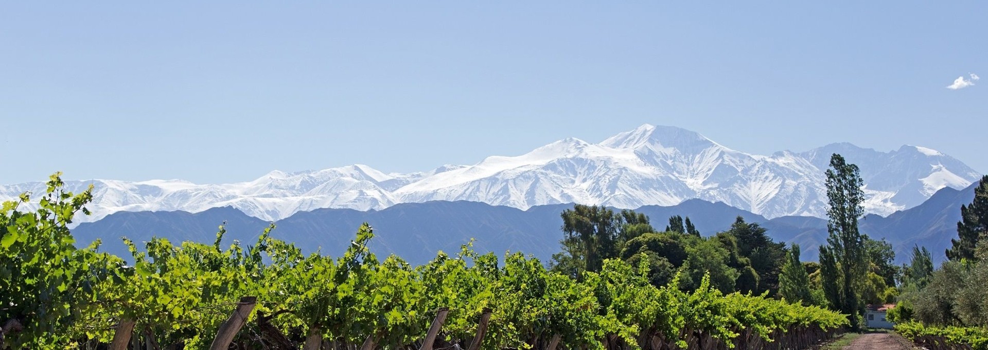 L’Argentine sur la route des Vins