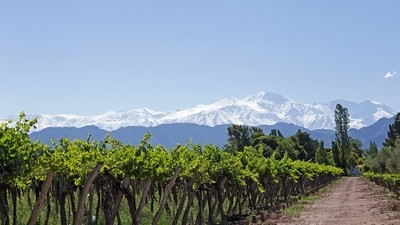 L’Argentine sur la route des Vins