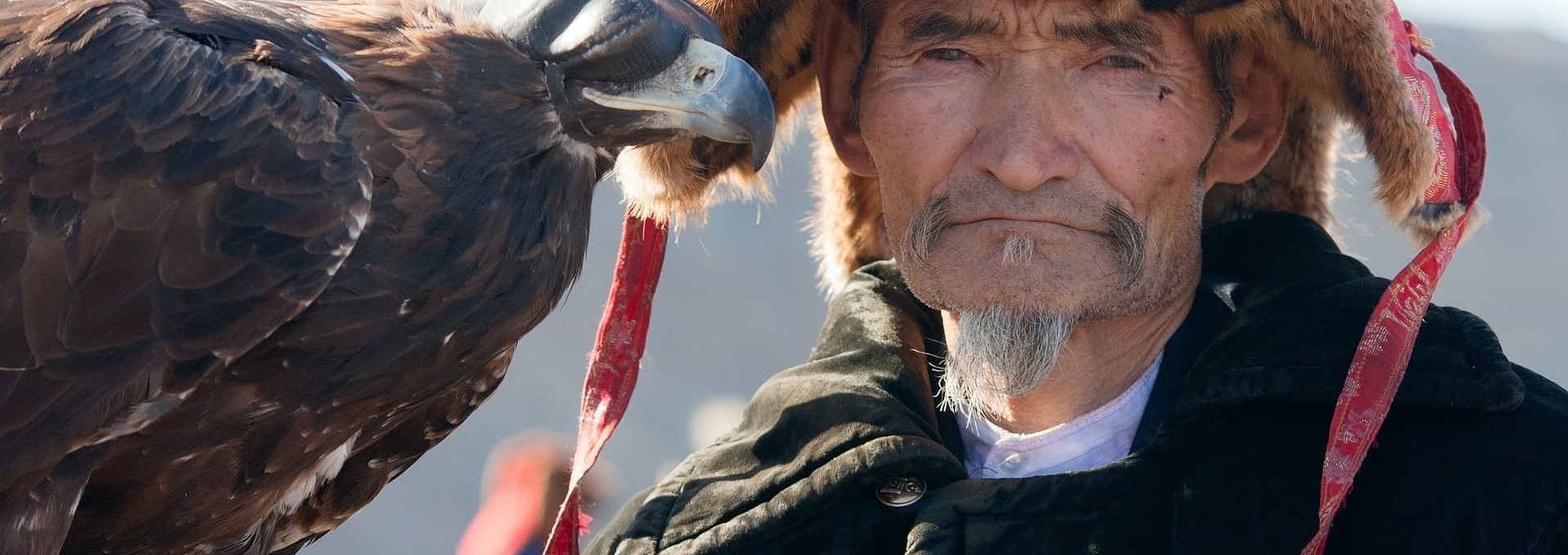 L’automne en compagnie des aigliers
