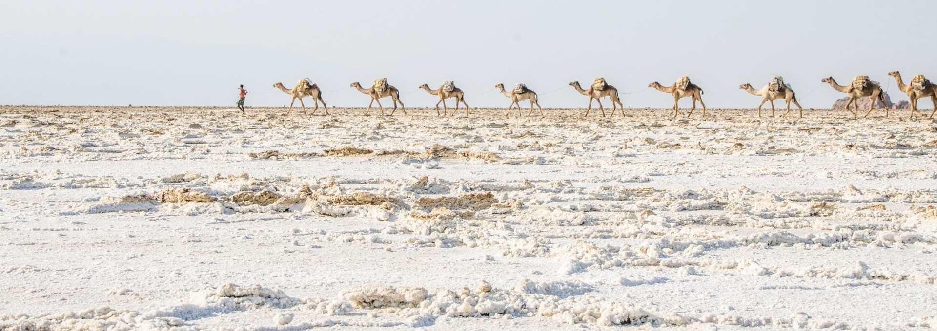 Danakil, Erta Ale & Lalibela : Les 3 merveilles d’Abyssinie