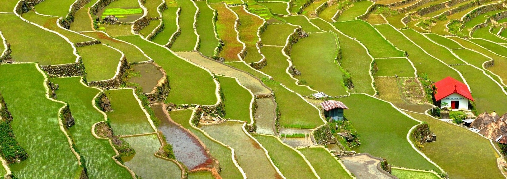 A la découverte des rizières en terrasses de Luzon