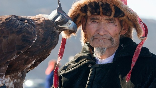 Aiglier en Mongolie