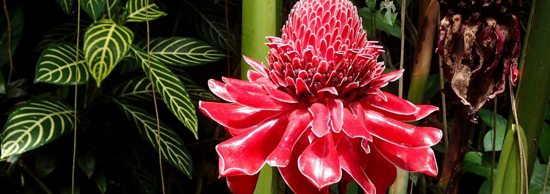 Séjour bien-être au San Benito Farm Resort