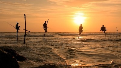 La pêche sur échasse au Sri Lanka : une drôle de tradition