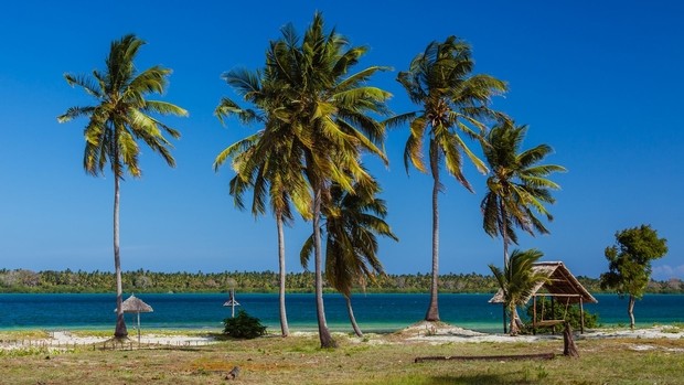 Plage en Tanzanie, l’île de Mafia