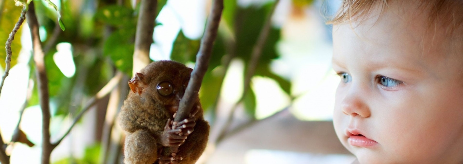 Voyage en famille aux Philippines