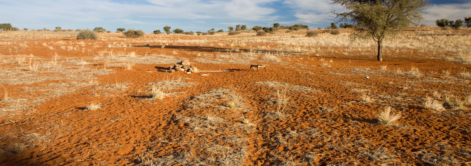 Marche guidée dans le désert du Kalahari