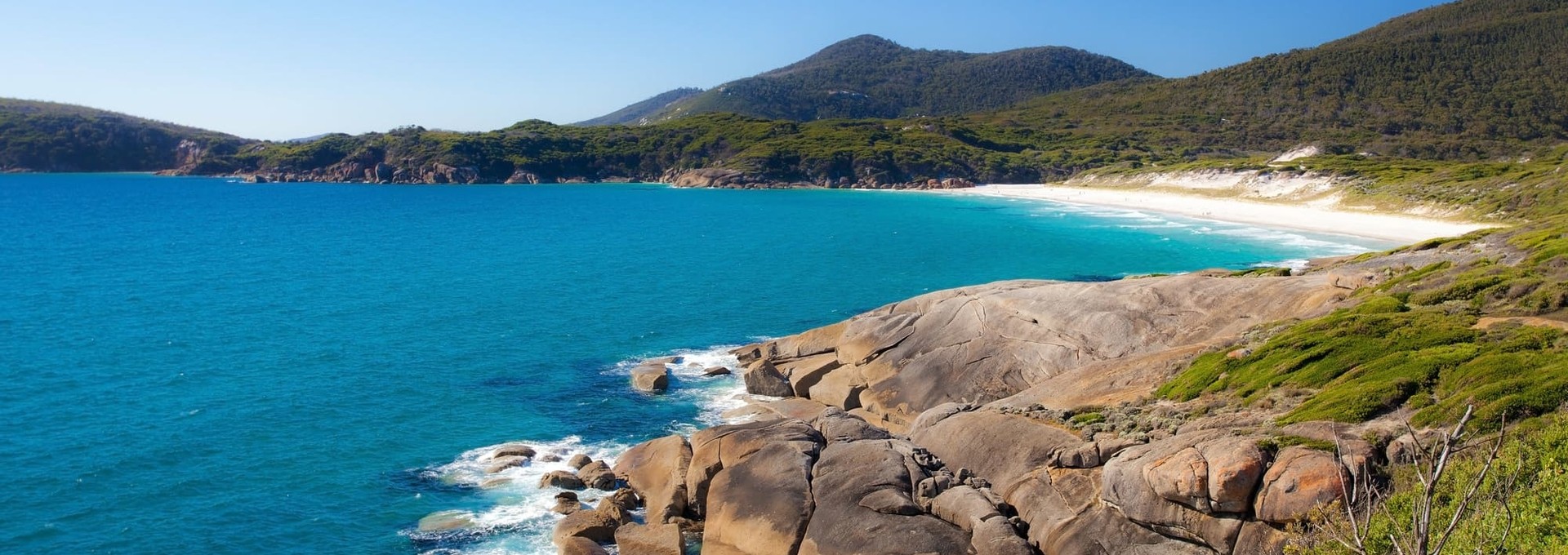 Balades dans l’Arche de Noé des Australiens