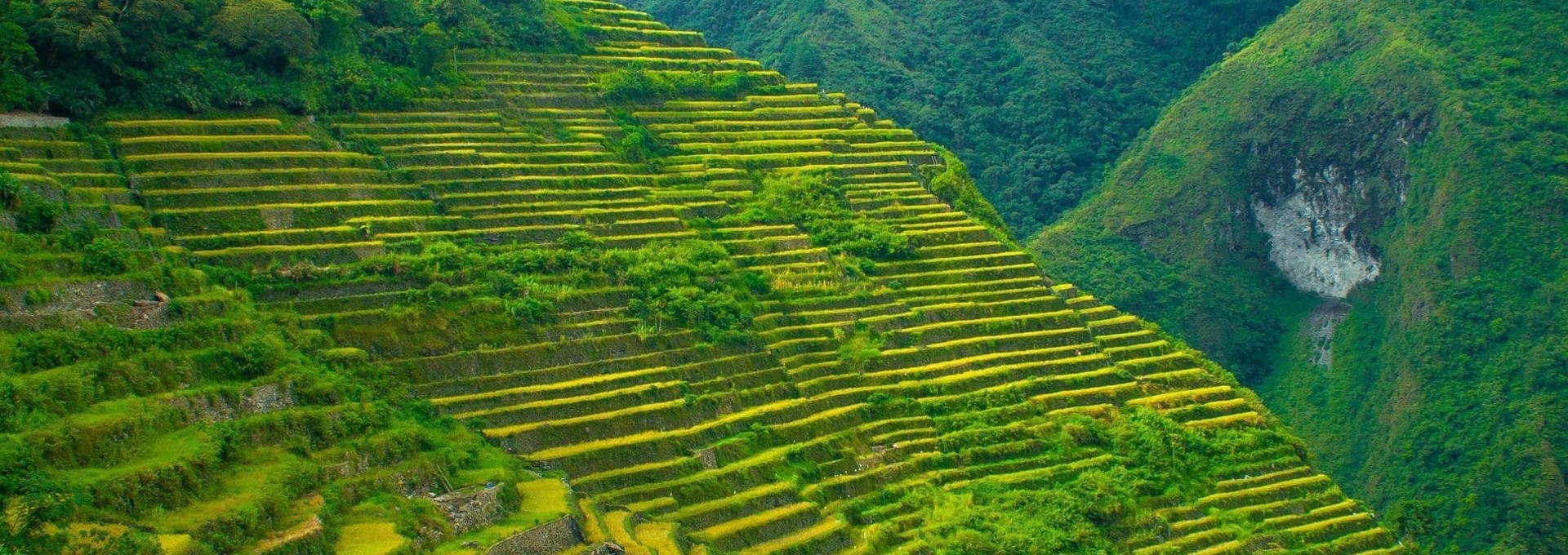 Balades au pays des anciens coupeurs de têtes