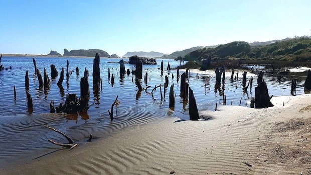 Parc naturel Chiloé Chili