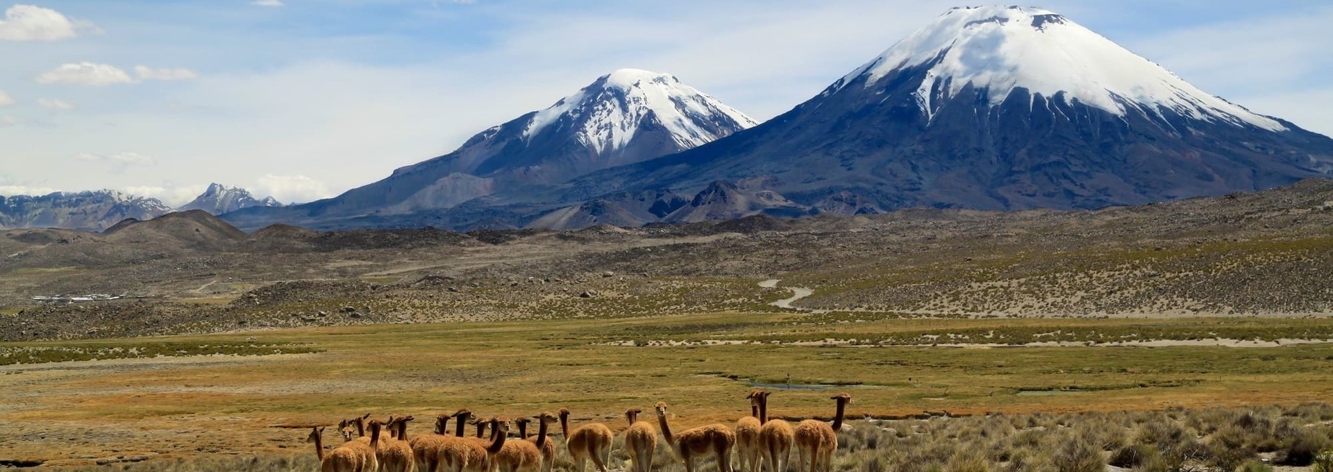 Autotour dans l’Altiplano chilien